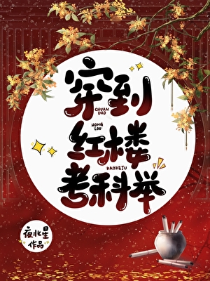 穿到紅樓考科舉