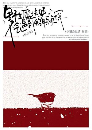 [綜英美]野生魔法使不會遇到鴨鴨偵探