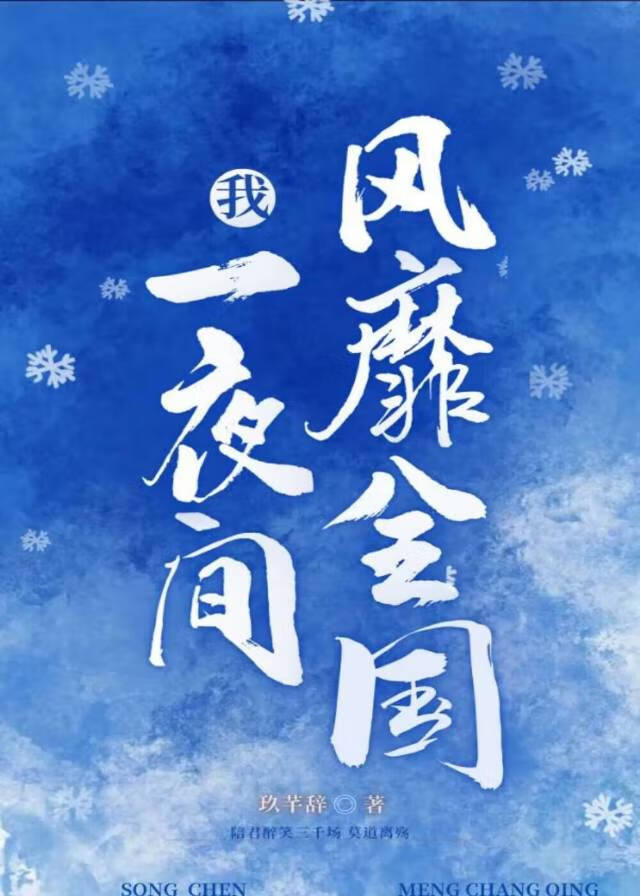 一夜間我風靡全國