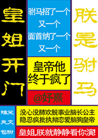 皇姐開門，朕是驸馬