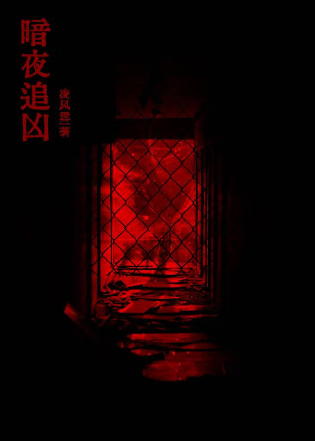 暗夜追兇［刑偵］
