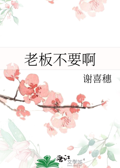 老闆不要啊