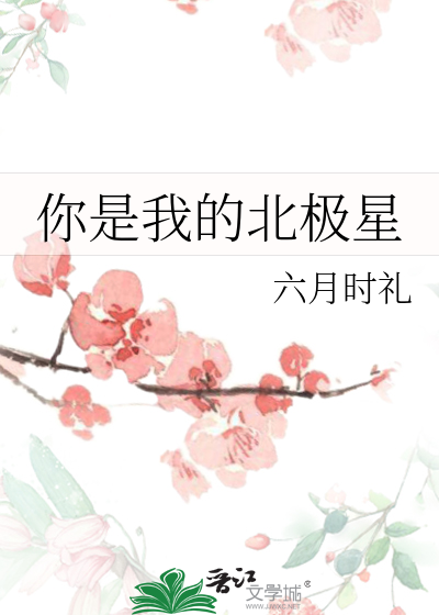 你是我的北極星