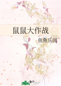 鼠鼠大作戰