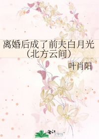 離婚後成了前夫白月光（北方雲間）