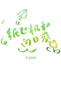 紙飛機和向日葵