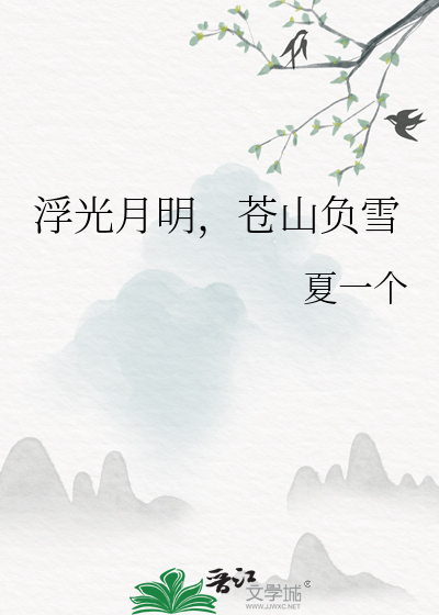 浮光月明，蒼山負雪