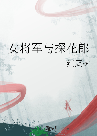 女将軍與探花郎