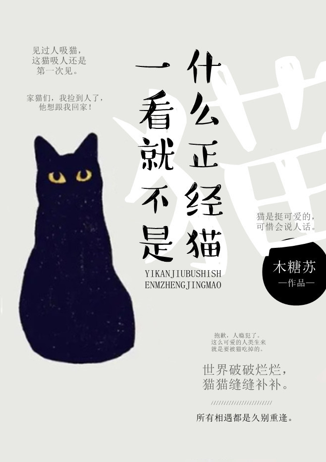 一看就不是什麼正經貓