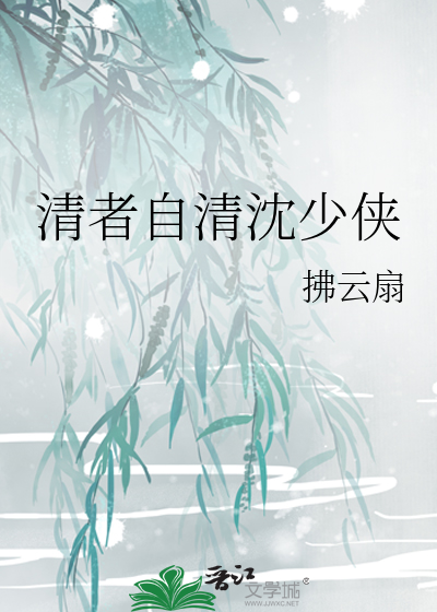 清者自清沈少俠