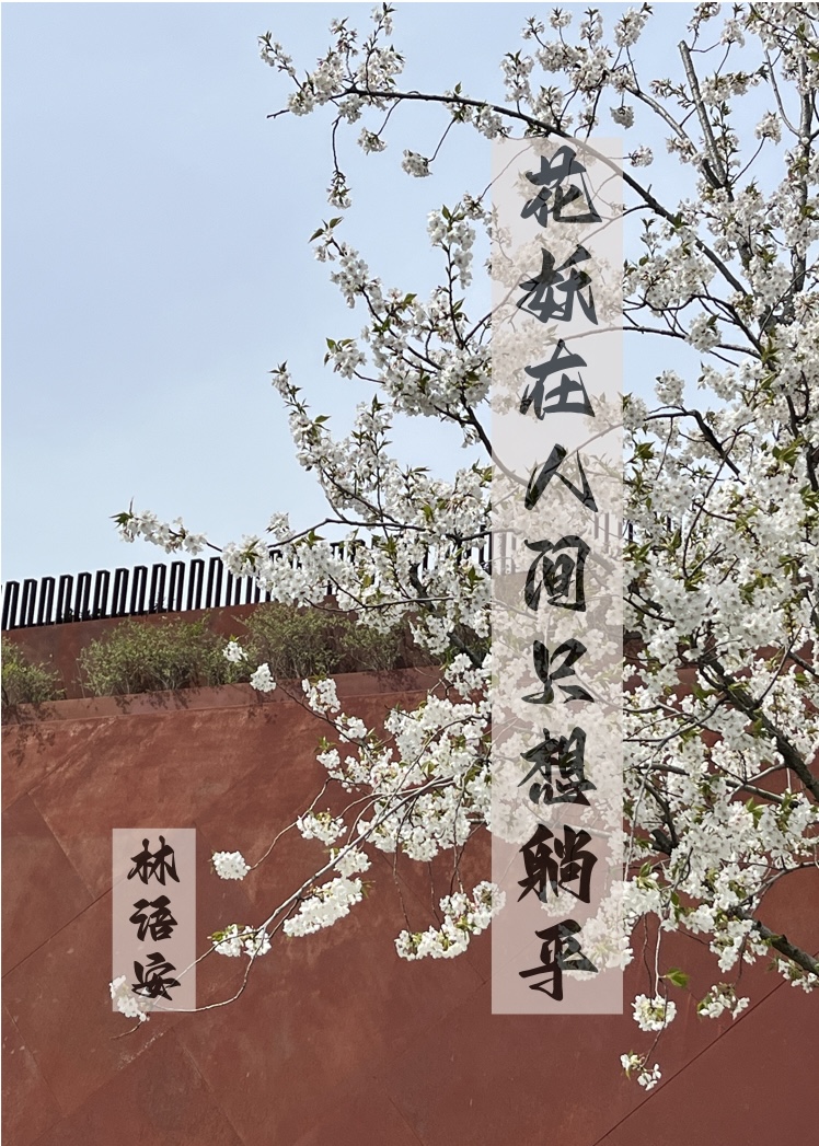花妖在人間隻想躺平