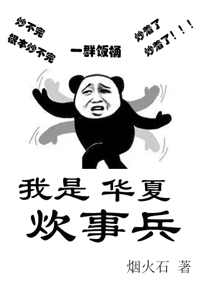 我是華夏炊事兵 [機甲]