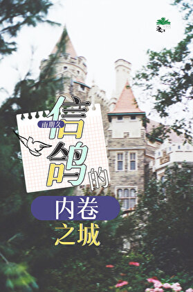 信鴿的内卷之城