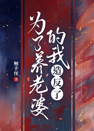 為了養老婆的我造反了