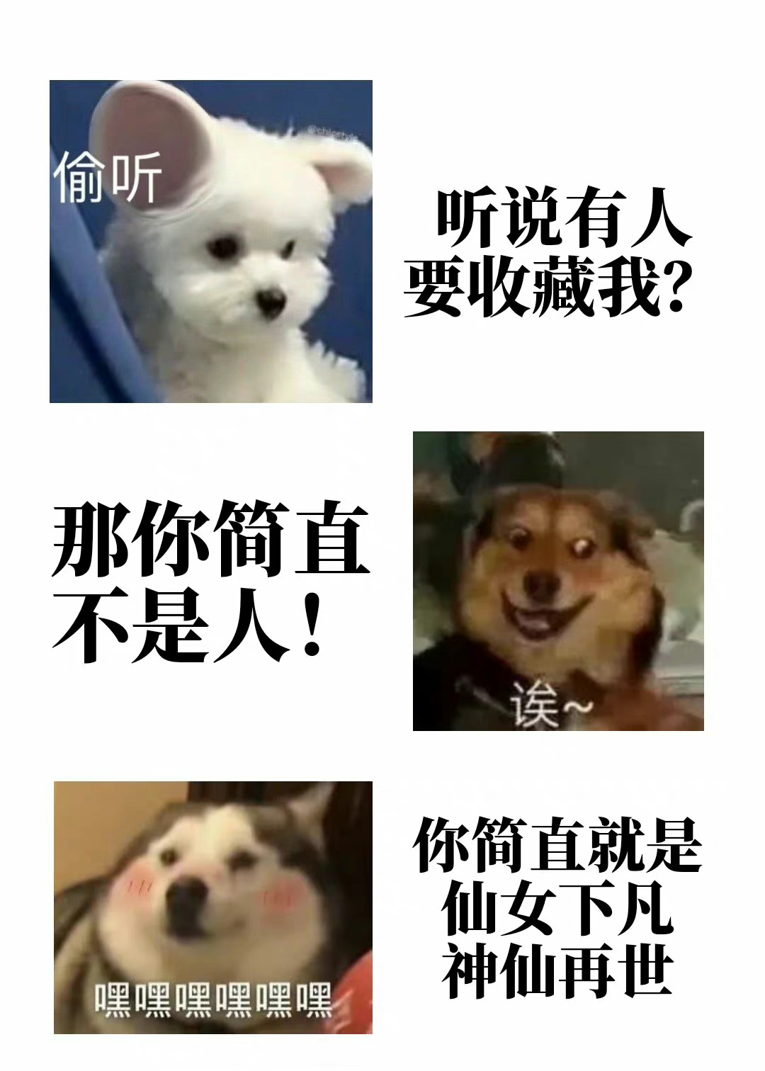 穿成假少爺後，我娶大佬當老婆了