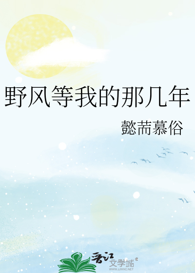 野風等我的那幾年