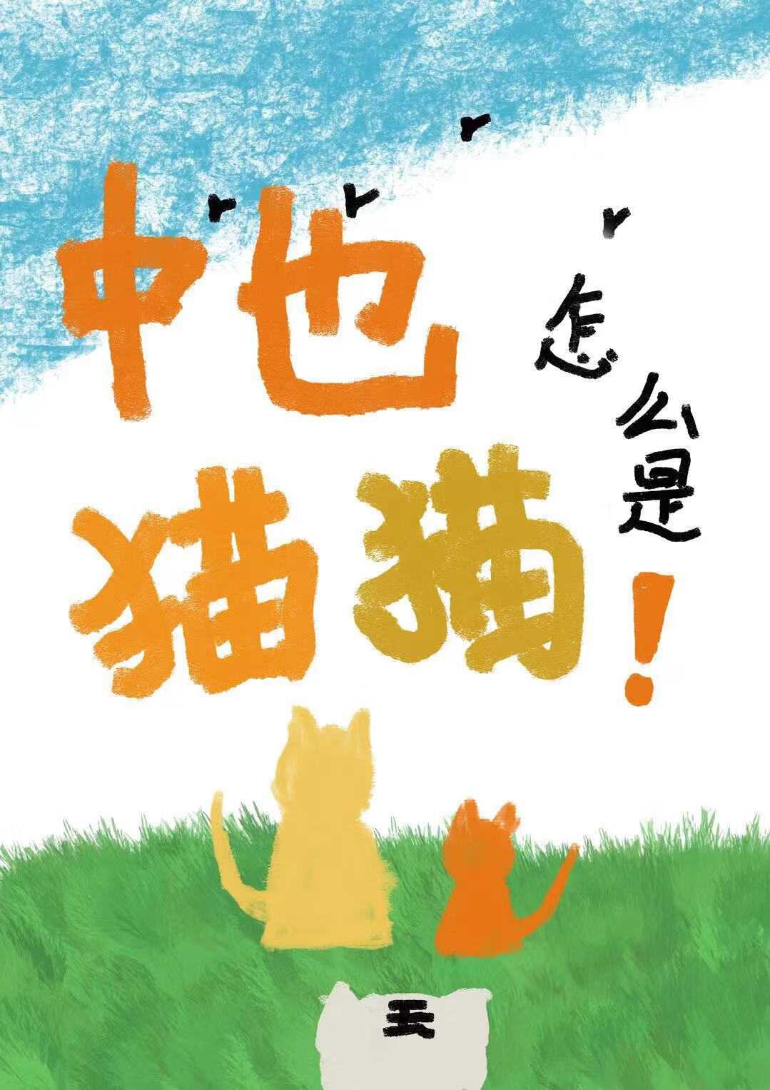 中也貓貓成長日志